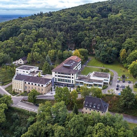 Kloster Neustadt Neustadt an der Weinstraße Екстериор снимка