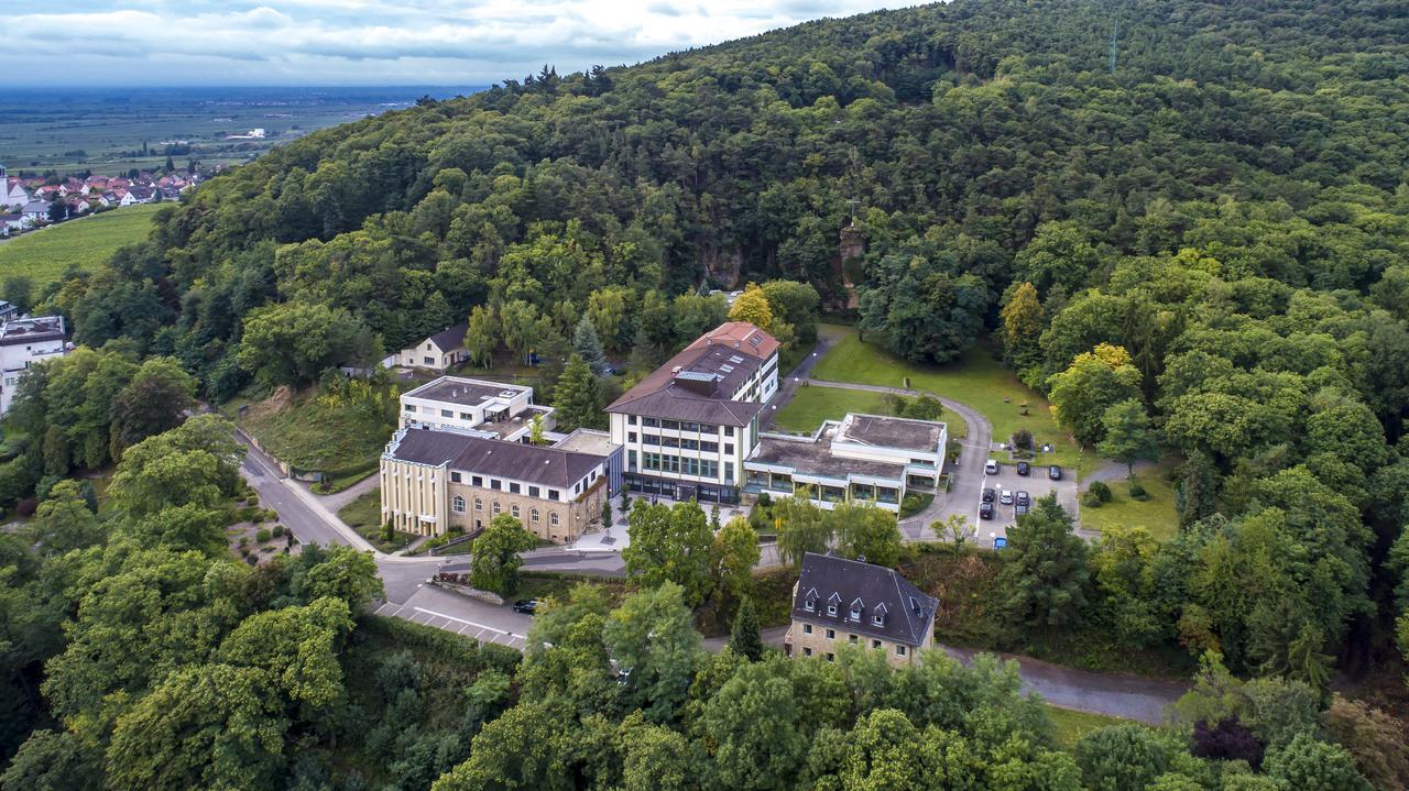 Kloster Neustadt Neustadt an der Weinstraße Екстериор снимка